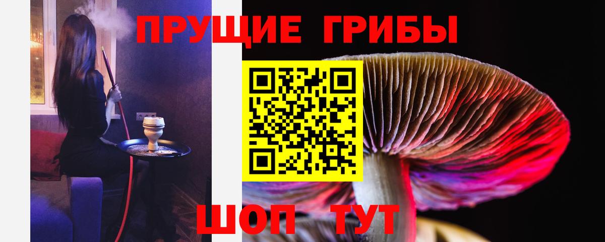 Псилоцибиновые грибы GOLDEN TEACHER Лангепас
